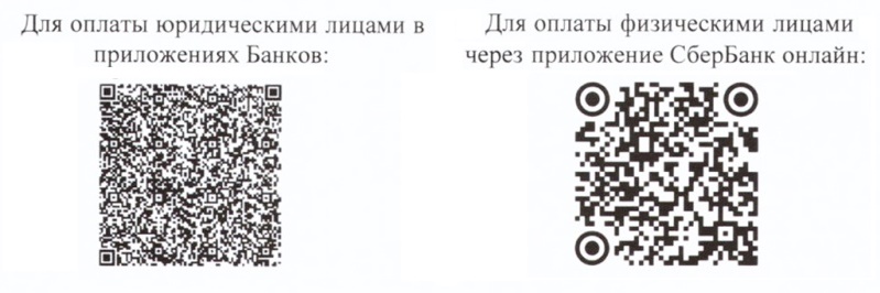 Благотворительный фонд «Помощь больным детям» Благотворительный фонд «Помощь больным детям»